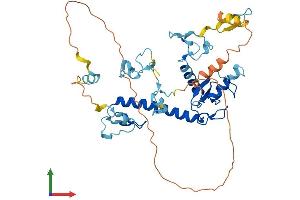 Protein Structure (PS) image for Makorin Ring Finger Protein 2 (MKRN2) (AA 1-416) protein (His tag) (ABIN7549439)