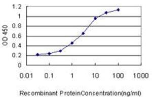 Detection limit for recombinant GST tagged FGFR1OP is approximately 0. (FGFR1OP antibody  (AA 1-379))