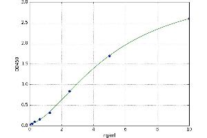 Angiopoietin 4 (ANGPT4) ELISA Kit