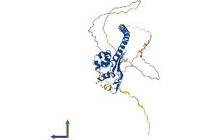 AlphaFold protein structure predicition of Human Recombinant TSPY26P Protein, UniprotID Q9H489 (TSPY26P Protein (AA 1-355) (His tag))