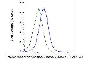 Validation of Erb-b2 receptor tyrosine kinase 2 knockdown using flow cytometry. (ErbB2/Her2 antibody)