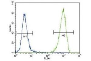 Flow Cytometry (FACS) image for anti-Fms-Related tyrosine Kinase 3 (FLT3) (AA 33-64) antibody (ABIN3030975)