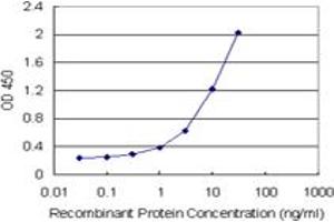 Sandwich ELISA detection sensitivity ranging from 0.