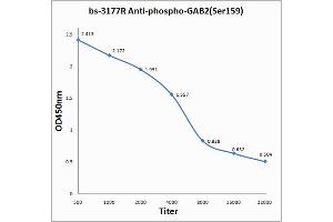 Antigen: 0. (GAB2 antibody  (pSer159))