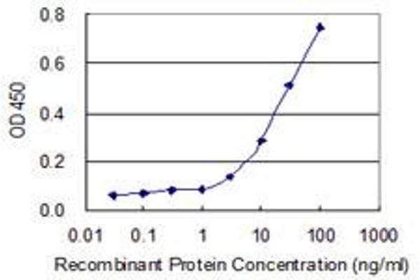 SPSB1 antibody  (AA 1-273)
