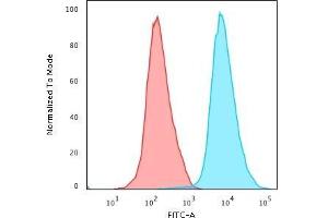 Flow Cytometric Analysis of PFA-fixed Jurkat cells using CD45 Monoclonal Antibody (PTPRC/1461) followed by Goat anti- Mouse- IgG-CF488 (Blue); Isotype Control (Red). (CD45 antibody)