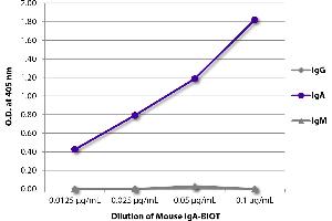 ELISA plate was coated with Goat Anti-Mouse IgG, Human ads-UNLB and quantified. (Mouse IgA isotype control (Biotin))