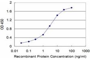 Image no. 2 for anti-Calmodulin Like Protein 3 (CALML3) (AA 1-150) antibody (ABIN465938) (CALML3 antibody  (AA 1-150))