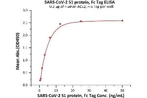 Immobilized Human ACE2, His Tag (ABIN6952618,ABIN6952641) at 2 μg/mL (100 μL/well) can bind SARS-CoV-2 S1 protein, Fc Tag (ABIN6992403) with a linear range of 0.