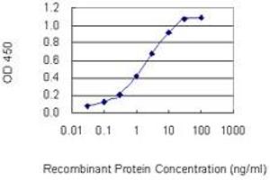 Detection limit for recombinant GST tagged PRSS12 is 0. (Neurotrypsin antibody  (AA 541-640))