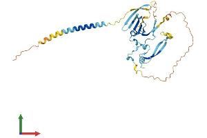 Protein Structure (PS) image for Tenomodulin (TNMD) (AA 1-317) protein (His tag) (ABIN7544699)