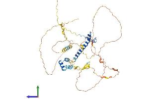AlphaFold protein structure predicition of Human Recombinant DMRT3 Protein, UniprotID Q9NQL9