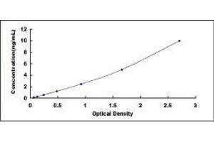 Arylsulfatase B (ARSB) ELISA Kit