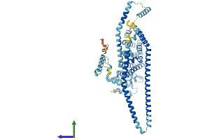 AlphaFold protein structure predicition of Mouse Recombinant Iqcb1 Protein, UniprotID Q8BP00