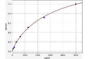 PVRL2 ELISA Kit