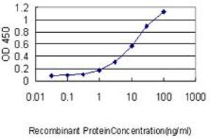 Detection limit for recombinant GST tagged C1orf33 is approximately 0. (C1orf33 antibody  (AA 1-239))