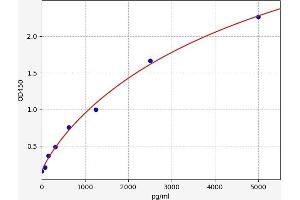 TCF7L2 ELISA Kit