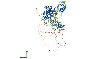 Protein Structure (PS) image for Protein Kinase D2 (PKD2) (AA 1-878) protein (His tag) (ABIN7554351)