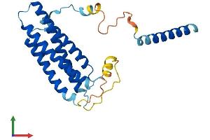 AlphaFold protein structure predicition of Mouse Recombinant Rgs9bp Protein, UniprotID Q148R9