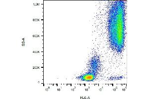 Flow cytometry analysis (surface staining) of human peripheral blood cells with anti-human CD24 (SN3) purified, GAM-APC. (CD24 antibody)