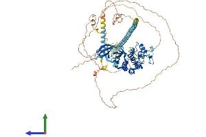 Protein Structure (PS) image for Cyclin-Dependent Kinase 11A (CDK11A) (AA 1-783) protein (His tag) (ABIN7553107)