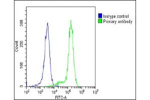 Overlay histogram showing K562 cells stained with C(green line). (IFNAR1 antibody  (AA 162-188))