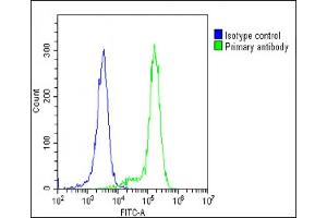 Overlay histogram showing K562 cells stained with C(green line).