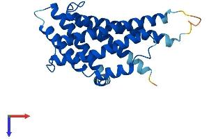 AlphaFold protein structure predicition of Mouse Recombinant Pex11g Protein, UniprotID Q6P6M5 (PEX11G Protein (AA 1-241) (His tag))