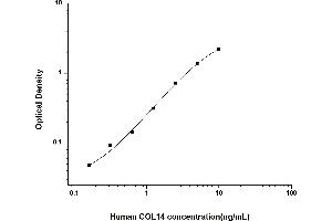 Typical standard curve (COL14A1 ELISA Kit)