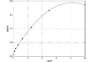 A typical standard curve (Sestrin 2 ELISA Kit)