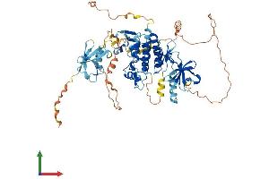 AlphaFold protein structure predicition of Mouse Recombinant Araf Protein, UniprotID P04627 (ARAF Protein (AA 1-604) (His tag))