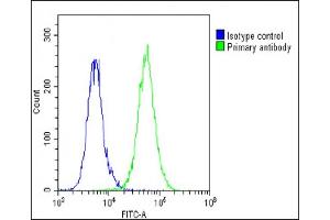Overlay histogram showing A549 cells stained with (ABIN6242219 and ABIN6578795)(green line). (Thrombomodulin antibody  (AA 537-571))