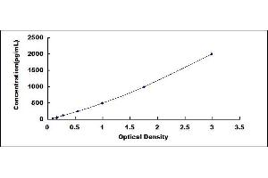 Typical standard curve (DUSP1 ELISA Kit)