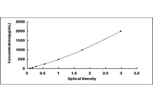 DUSP1 ELISA Kit