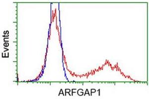 HEK293T cells transfected with either RC206987 overexpress plasmid (Red) or empty vector control plasmid (Blue) were immunostained by anti-ARFGAP1 antibody (ABIN2454382), and then analyzed by flow cytometry. (ARFGAP1 antibody)