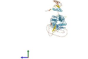 Protein Structure (PS) image for Zinc Finger Protein 347 (ZNF347) (AA 1-839) protein (His tag) (ABIN7545266)
