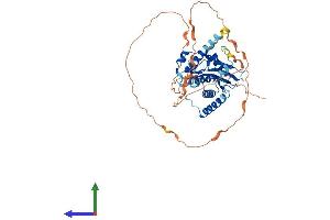 AlphaFold protein structure predicition of Human Recombinant RNF25 Protein, UniprotID Q96BH1 (RNF25 Protein (AA 1-459) (His tag))