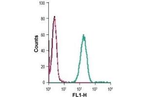 Indirect flow cytometry of live intact human THP-1 monocytic leukemia cells: (black line) Cells. (Sortilin 1 antibody  (Extracellular Domain))