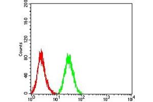 Flow cytometric analysis of HL-60 cells using CD72 mouse mAb (green) and negative control (red). (CD72 antibody  (AA 117-359))