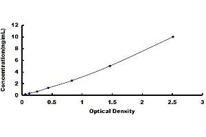delta/notch-Like EGF Repeat Containing (DNER) ELISA Kit