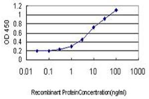 Detection limit for recombinant GST tagged RBM9 is approximately 0. (RBM9 antibody  (AA 1-100))
