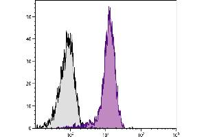 BALB/c mouse splenocytes were stained with Rat Anti-Mouse CD31-APC. (CD31 antibody  (APC))