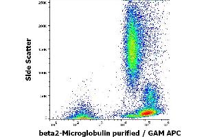 Flow cytometry surface staining pattern of human peripheral blood stained using anti-human beta2-Microglobulin (B2M-01) purified antibody (concentration in sample 0. (beta-2 Microglobulin antibody)