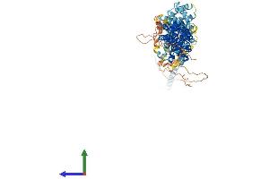 AlphaFold protein structure predicition of Mouse Recombinant Ccdc142 Protein, UniprotID Q8CAI1 (CCDC142 Protein (AA 1-738) (His tag))