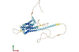 AlphaFold protein structure predicition of Mouse Recombinant Gpr101 Protein, UniprotID Q80T62