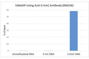 hMeDIP was performed using recombinant 5hmC antibody at a 10:1 DNA:Ab ratio. (Recombinant 5-Hydroxymethylcytosine antibody)
