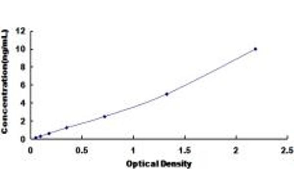 PALLD ELISA Kit