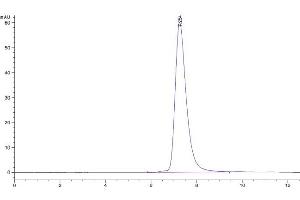 The purity of Mouse PD-L1 is greater than 95 % as determined by SEC-HPLC. (PD-L1 Protein (AA 19-238) (His tag))