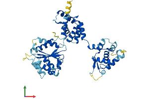 AlphaFold protein structure predicition of Mouse Recombinant Orc4 Protein, UniprotID O88708 (ORC4 Protein (AA 1-433) (His tag))