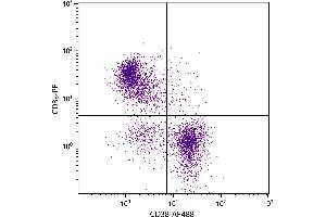 BALB/c mouse splenocytes were stained with Rat Anti-Mouse CD38-AF488. (CD38 antibody  (Biotin))